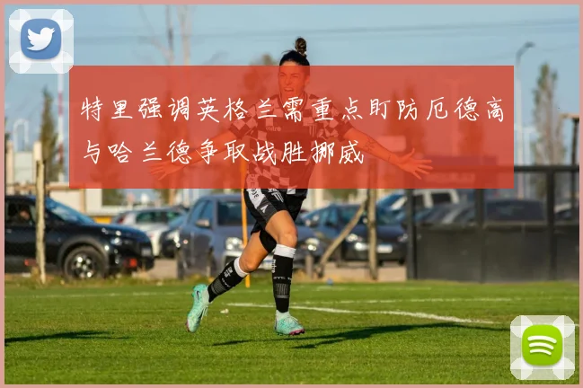 特里强调英格兰需重点盯防厄德高与哈兰德争取战胜挪威