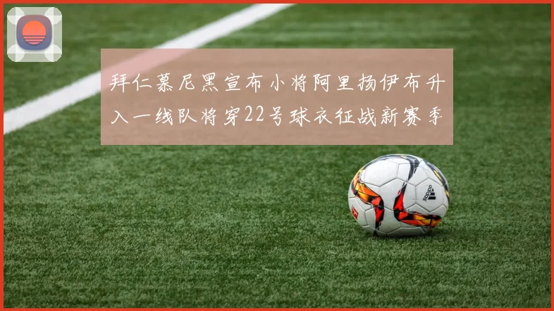 拜仁慕尼黑宣布小将阿里扬伊布升入一线队将穿22号球衣征战新赛季