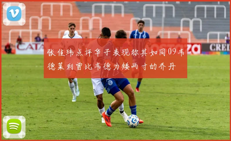 张佳玮点评华子表现称其如同09韦德莱利曾比韦德为矮两寸的乔丹